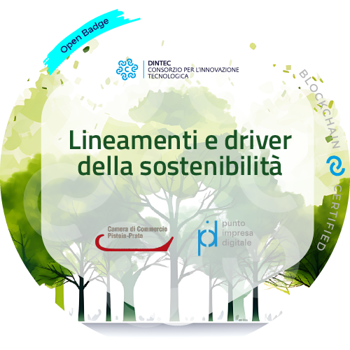 Badge pubblico 70124